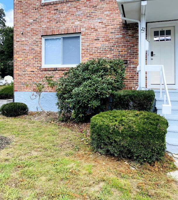 Cozy Boston Getaway Apartment! Free Parking Exterior foto